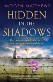Hidden In The Shadows