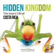 Hidden Kingdom