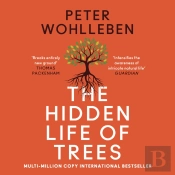 Hidden Life Of Trees