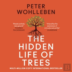 Bertrand.pt - Hidden Life Of Trees