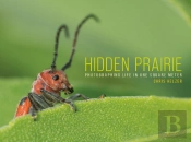 Hidden Prairie