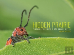 Bertrand.pt - Hidden Prairie