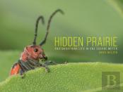 Hidden Prairie