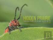Hidden Prairie
