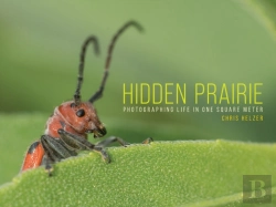 Bertrand.pt - Hidden Prairie