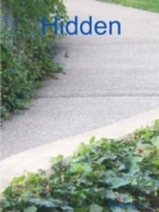 Hidden