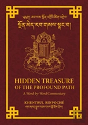 Hidden Treasure Of The Profound Path