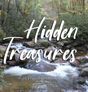 Hidden Treasures: An Illustrated Guide T