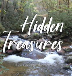 Bertrand.pt - Hidden Treasures: An Illustrated Guide T