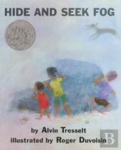 Hide And Seek Fog