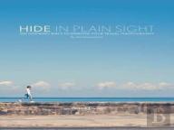 Hide In Plain Sight