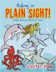 Hiding In Plain Sight! Hidden Pictures Activity Book