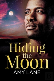 Hiding The Moon