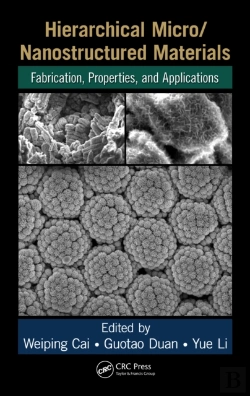 Bertrand.pt - Hierarchical Micro/Nanostructured Materials