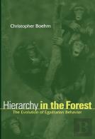 Hierarchy In The Forest