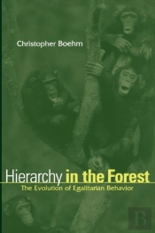 Hierarchy In The Forest