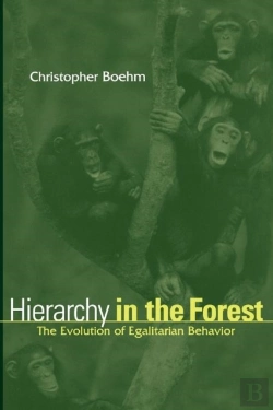 Bertrand.pt - Hierarchy In The Forest