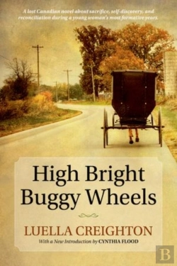 Bertrand.pt - High Bright Buggy Wheels