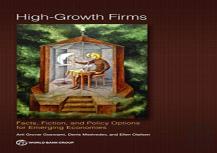 High-Growth Firms