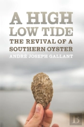 High Low Tide