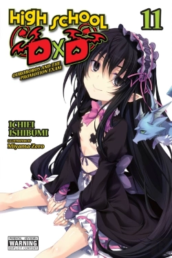 Bertrand.pt - High School Dxd, Vol. 11 (Light Novel)