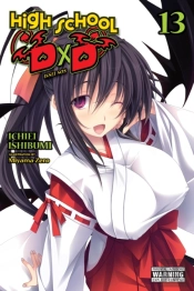 High School Dxd, Vol. 13 (Light Novel)