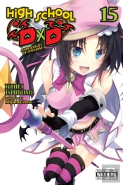 High School Dxd, Vol. 15 (Light Novel)