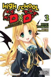 High School Dxd, Vol. 3 (Light Novel)