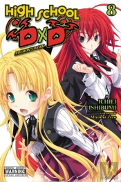 High School Dxd, Vol. 8 (Light Novel)