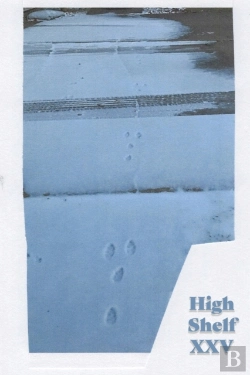 Bertrand.pt - High Shelf Xxv