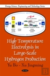 High Temperature Electrolysis In Large-Scale Hydrogen Production