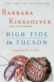 High Tide In Tucson: Essays From Now Or Never