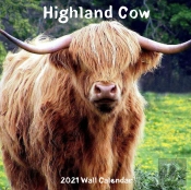 Highland Cow 2021 Wall Calendar