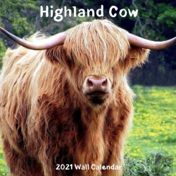 Bertrand.pt - Highland Cow 2021 Wall Calendar