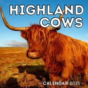 Highland Cows Calendar 2021