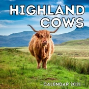 Highland Cows Calendar 2021