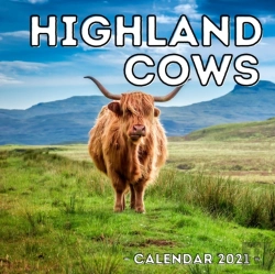 Bertrand.pt - Highland Cows Calendar 2021