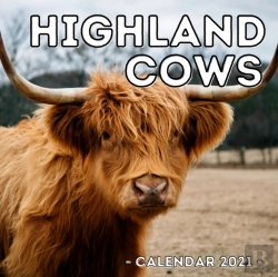 Bertrand.pt - Highland Cows Calendar 2021