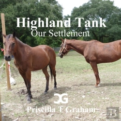 Bertrand.pt - Highland Tank Our Settlement