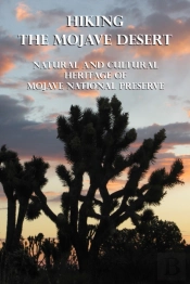 Hiking The Mojave Desert
