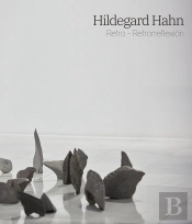 Hildegard Hahn. Retro-Retrorreflexión