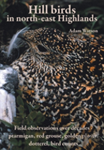 Hill Birds In North-East Highlands