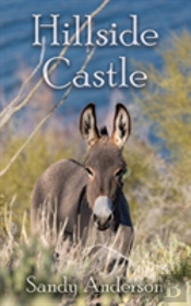Hillside Castle