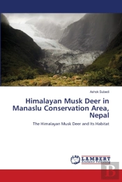 Himalayan Musk Deer In Manaslu Conservat