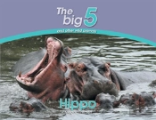 Hippo