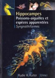 Hippocampes Dragons De Mer Poissons Aiguilles Et Especes