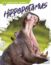 Hippopotamus
