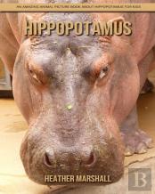 Hippopotamus