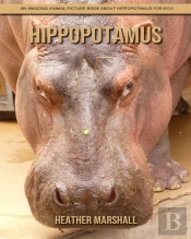 Hippopotamus
