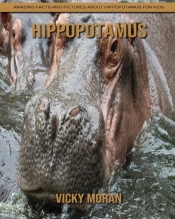 Hippopotamus
